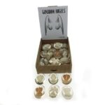 Geluksmunt engel Guardian Angel  4x3x2cm ass.(kunst hars)