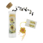 Groeicadeau Vergeet-mij-niet, Zonne-, Bijen- en Vlinderbloem in buisje (10x3cm) - Afbeelding 4