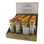 Groeicadeau Vlinderbloemen "Vlinders voor jou" in buisje (10x3cm)