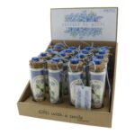 Groeicadeau Vergeet mij niet in buisje (10x3cm)