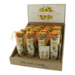 Groeicadeau Zonnebloem "You are my Sunshine" in buisje (10x3cm)