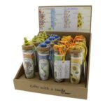 Groeicadeau Vergeet-mij-niet, Zonne-, Bijen- en Vlinderbloem in buisje (10x3cm)