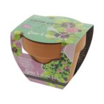 Klavertje 4 in potje - Afbeelding 2