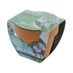 Vergeet me niet - Afbeelding 2