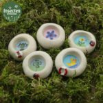 Insecten drinkbakje (handwerk) (Ø2,5cm)
