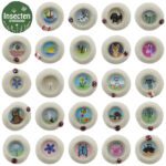 Insecten drinkbakje (handwerk) (Ø2,5cm) - Afbeelding 3