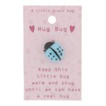 Hug Bug "A little glass bug" op kaart (9x5,5cm)