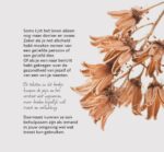 Levensmomenten - Woorden van troost - Afbeelding 3