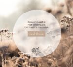 Levensmomenten - Woorden van troost - Afbeelding 6