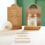 Display met gevuld met 16 Wensvervuller, groot - Afbeelding 3