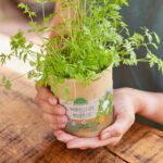 Worteltjes uit een beker - Afbeelding 2