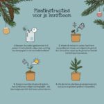 Jouw kerstboom voor 2030 - Afbeelding 4
