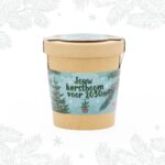 Jouw kerstboom voor 2030 - Afbeelding 8