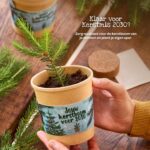 Jouw kerstboom voor 2030 - Afbeelding 2