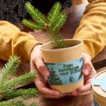 Jouw kerstboom voor 2030 - Afbeelding 7