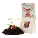 Rudolfneuzen - Afbeelding 3