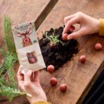 Rudolfneuzen - Afbeelding 2