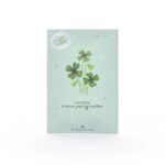 Tray met kerstboom en geluksklavers - Afbeelding 5