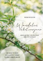 Wandelen in het voorjaar - Afbeelding 2