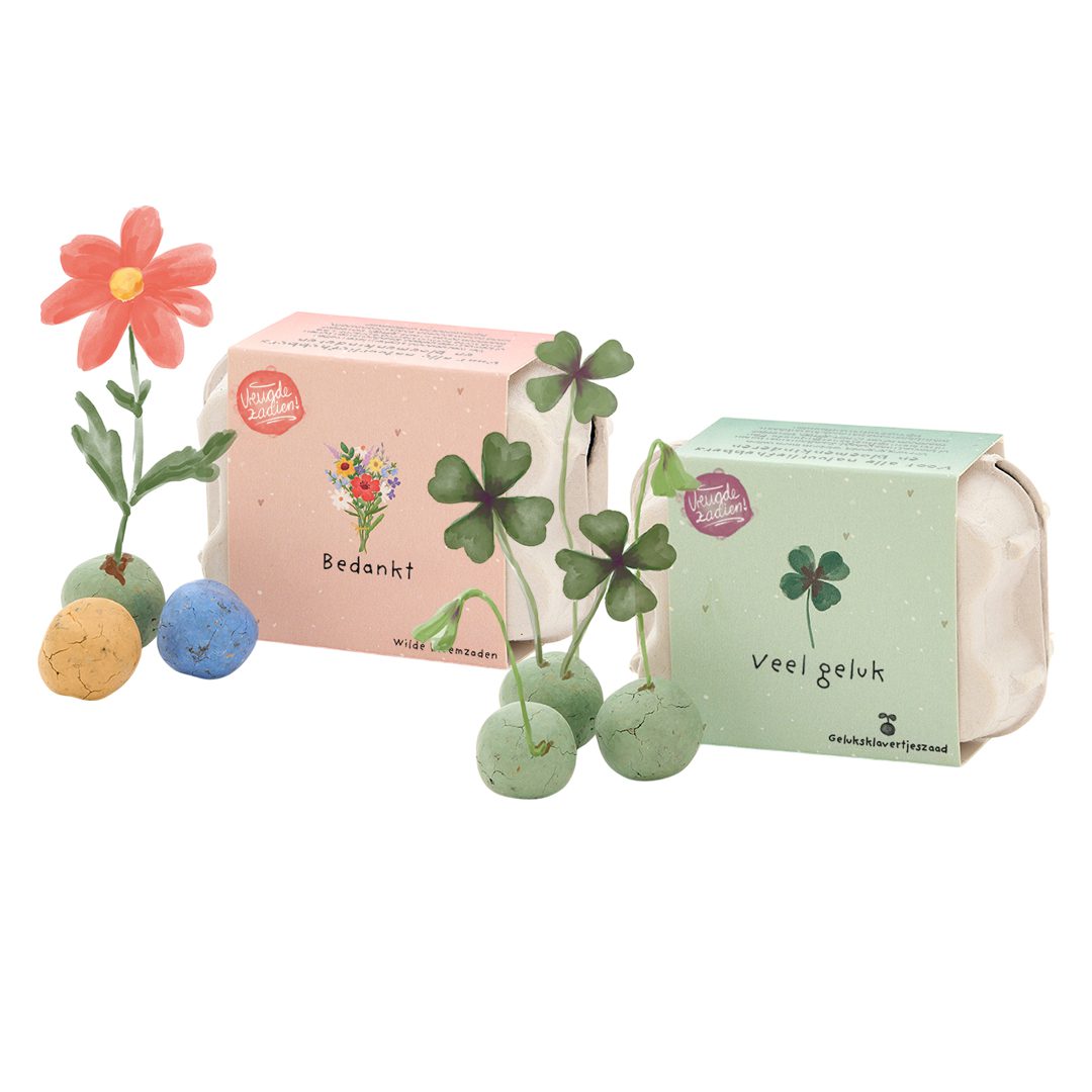 Assorti eierdoosje Assorti Eierdoosjes - Afbeelding 1