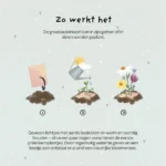 Bee happy, plantbare wenskaart - Afbeelding 7