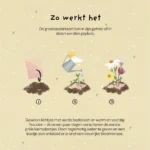 Je bent onmisbaar, plantbare wenskaart - Afbeelding 7