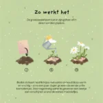 Heel erg bedankt, plantbare wenskaart - Afbeelding 7