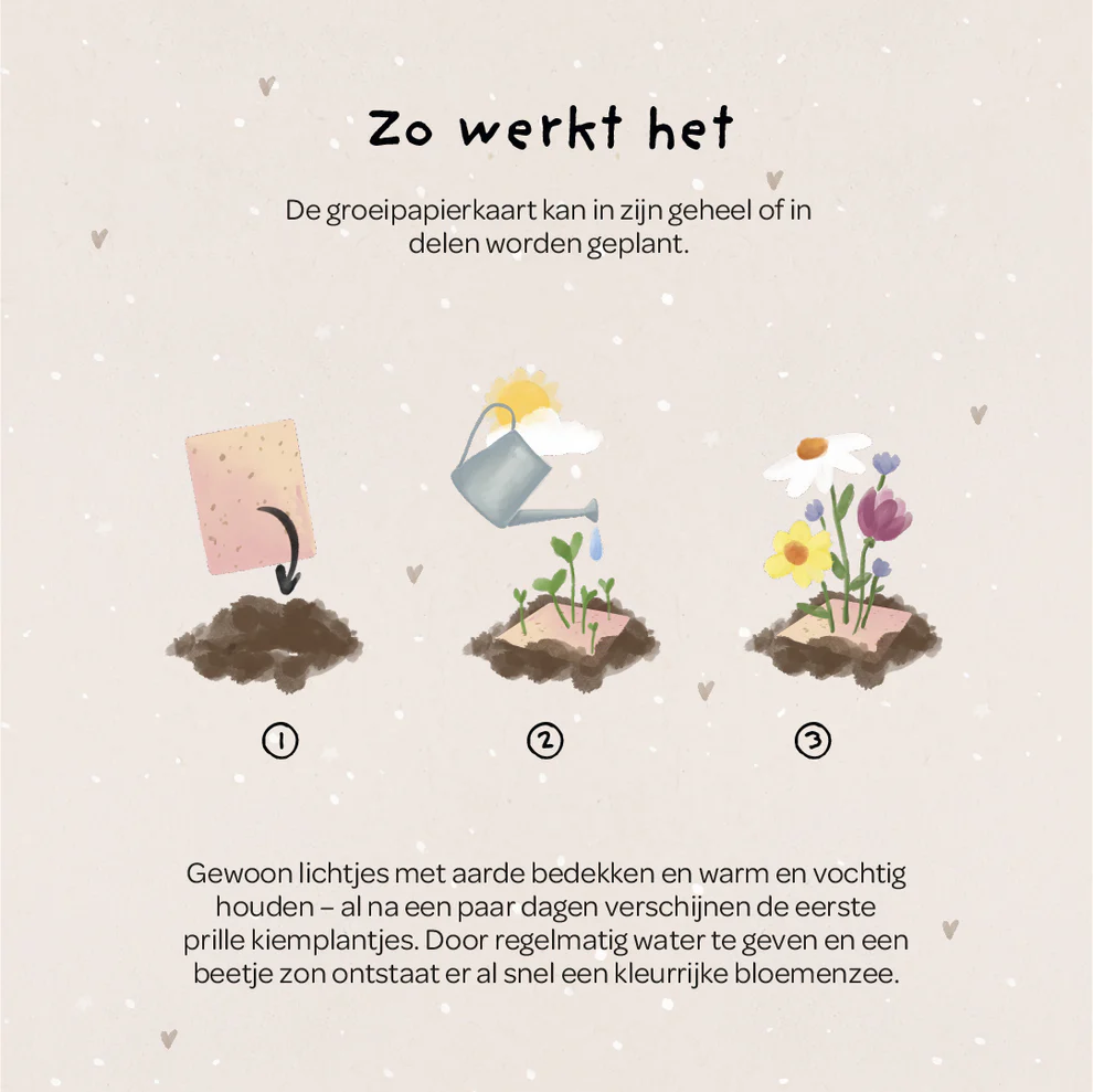 Voor de jarige, plantbare wenskaart - Afbeelding 7