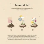Het allerbeste, plantbare wenskaart - Afbeelding 7