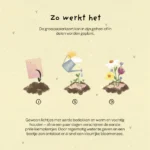 Hallo zonnestraaltje, plantbare wenskaart - Afbeelding 7