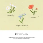 Hoera, je bent er, plantbare wenskaart - Afbeelding 6