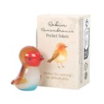 Glas Roodborstje in luciferdoosje (6x3x4cm)