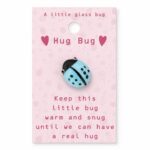 Hug Bug "A little glass bug" op kaart (9x5,5cm)