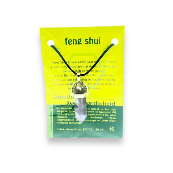 Edelsteenhanger Feng Shui -  Amethist - Vissen
