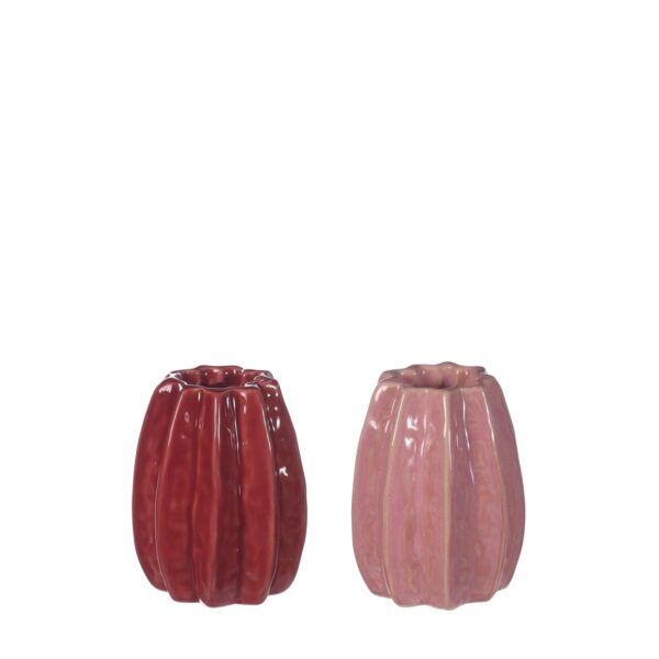 Bloemvaas Carambola roze klein 2ass. (Ø5,5xh7cm)