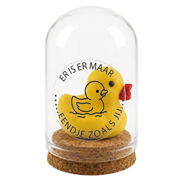 Eend "Er is er maar EENDJE zoal jij!"