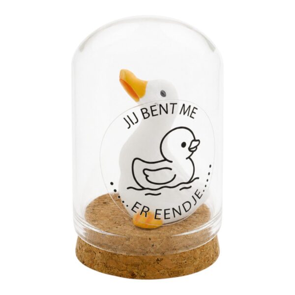 Eend "Jij bent me er eendje"