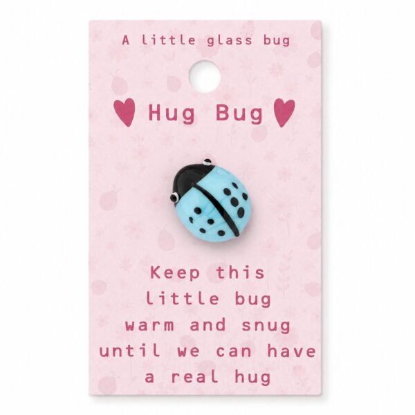 Hug Bug "A little glass bug" op kaart (9x5,5cm)