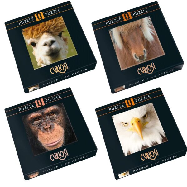 ART Puzzel Dieren 2 in display (13x13cm)